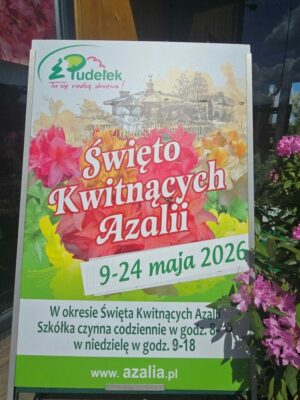 20260519_114138mini