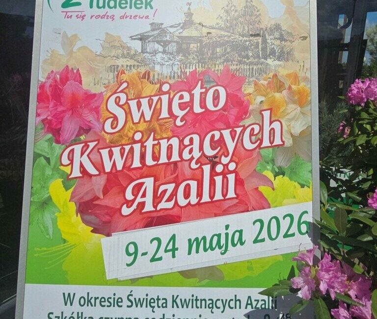 20260519_114138mini